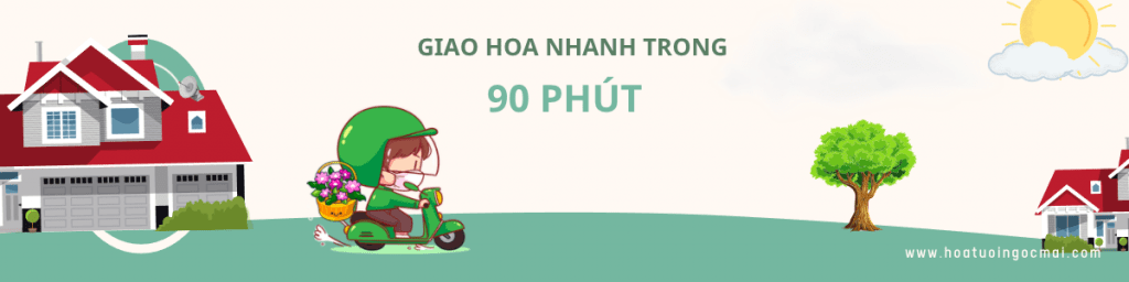giao-hoa-nhanh-trong-90-phut-1024x256